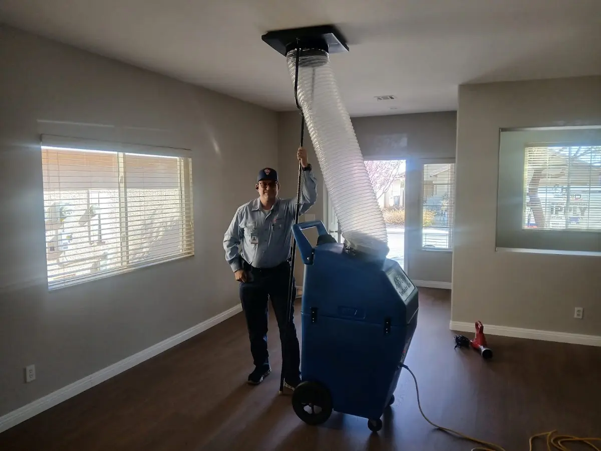 Professional Dryer Vent Cleaning work inside a Williams home
